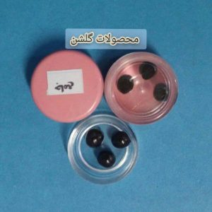 جامع امام رضا ع