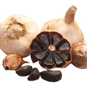 سیر