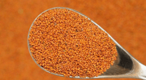 خاکشیر