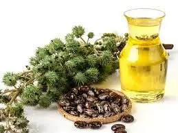 روغن کرچک
