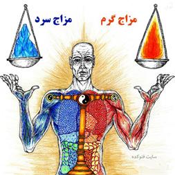 دم، صفرا، بلغم، سودا