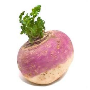 شلغم