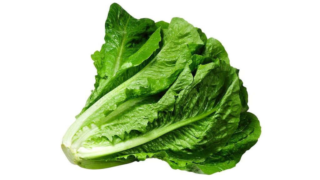 کاهو