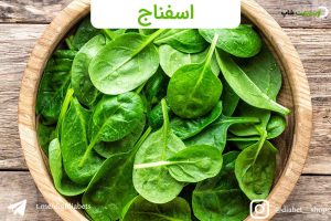 اسفناج2