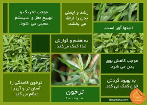 ترخون