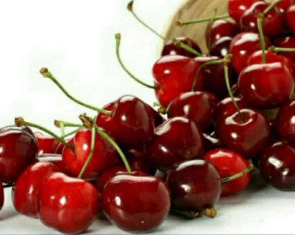 آلبالو
