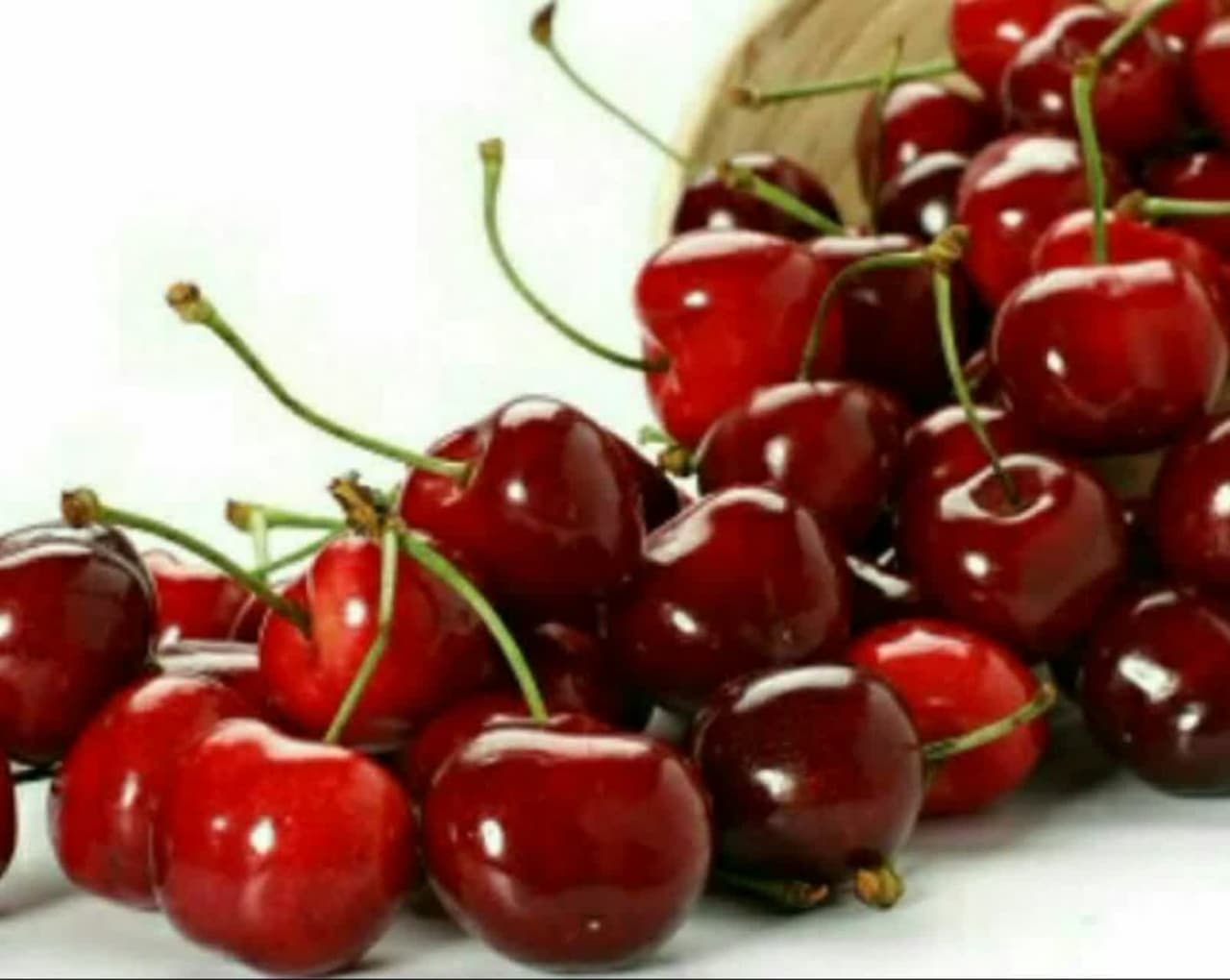 آلبالو