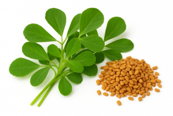 شنبلیله گیاه پرخاصیت