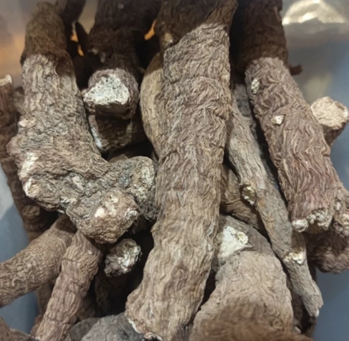 گیاه چوبک