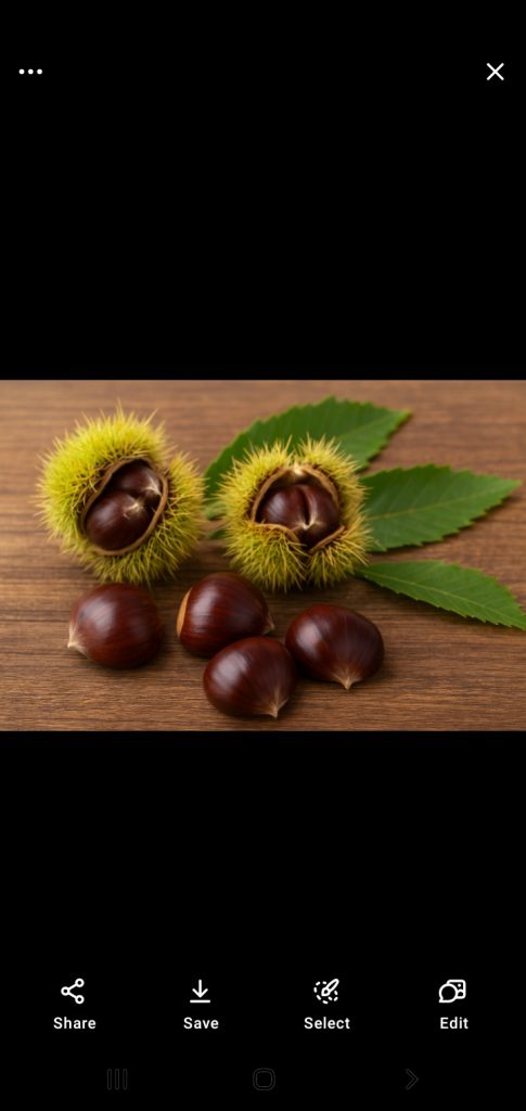 شاه‌بلوط میوه‌ای شیرین و پرخاصیت از دل طبیعت