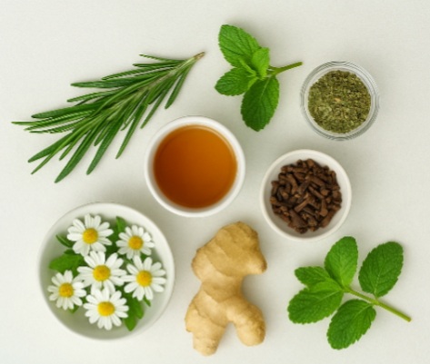 درمان سردردهای مزمن با گیاهان دارویی 🌿