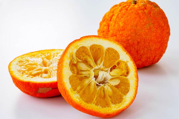 نارنج میوه ای معطر و شفابخش