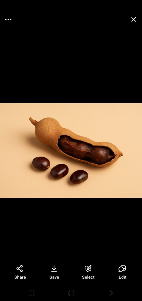 تمبر هندی