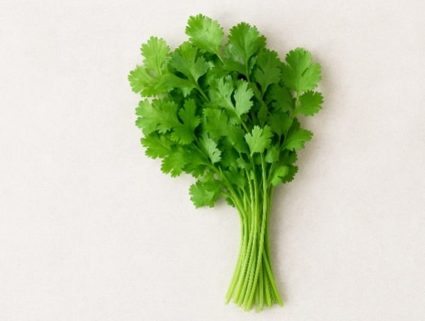 خواص گشنیز خشک و تازه
