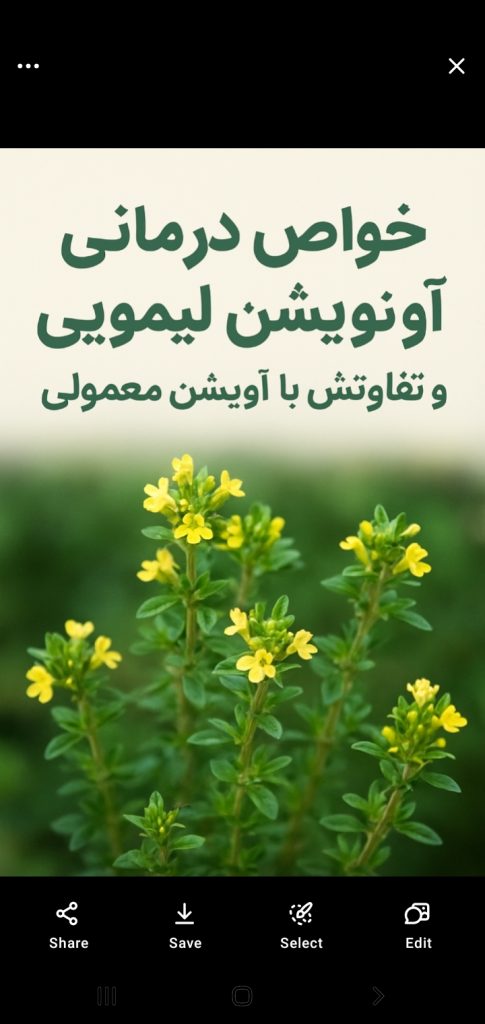 خواص درمانی گیاه آویشن لیمویی و تفاوت آن با آویشن معمولی