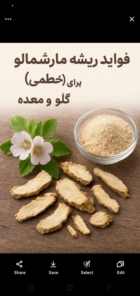 فواید ریشه مارشمالو (خطمی) برای گلو و معده